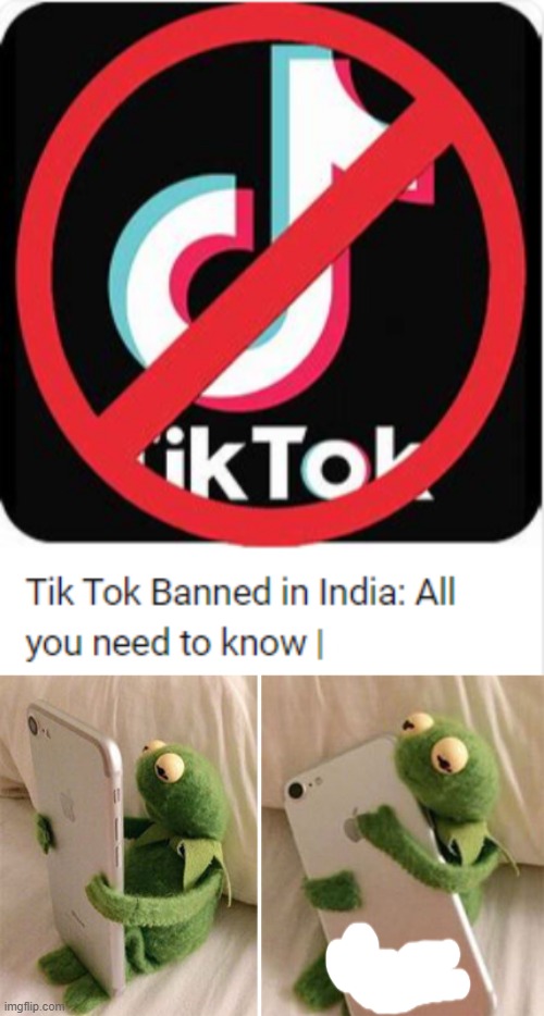 Thank you India. | image tagged in kermit hugging phone,india,ban tik tok,tik tok,ban,all you need to know | made w/ Imgflip meme maker