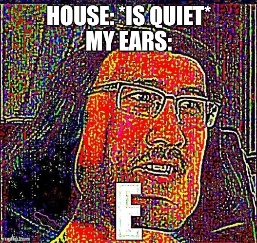 So true | HOUSE: *IS QUIET*
MY EARS: | image tagged in e meme | made w/ Imgflip meme maker