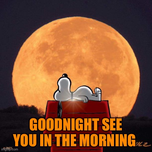 Goodnight :) | GOODNIGHT SEE YOU IN THE MORNING | image tagged in goodnight | made w/ Imgflip meme maker