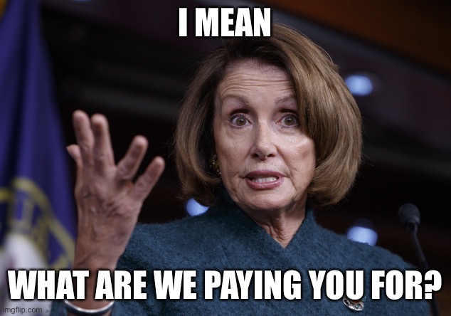 Good old Nancy Pelosi | I MEAN WHAT ARE WE PAYING YOU FOR? | image tagged in good old nancy pelosi | made w/ Imgflip meme maker