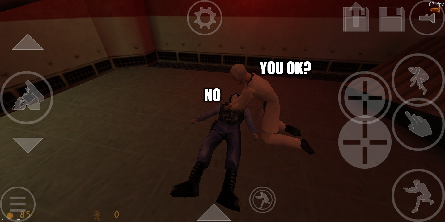 playing Half-Life 1 on mobile | NO; YOU OK? | made w/ Imgflip meme maker