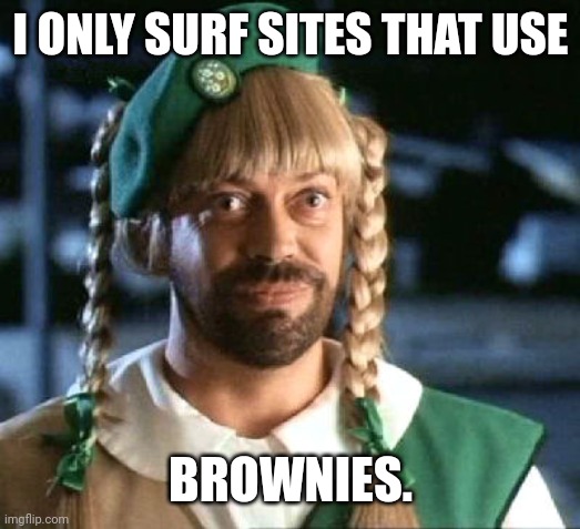 California Girl Scout sez... | I ONLY SURF SITES THAT USE BROWNIES. | image tagged in california girl scout sez | made w/ Imgflip meme maker