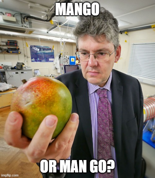 Mango Fruit | MANGO OR MAN GO? | image tagged in mango fruit | made w/ Imgflip meme maker