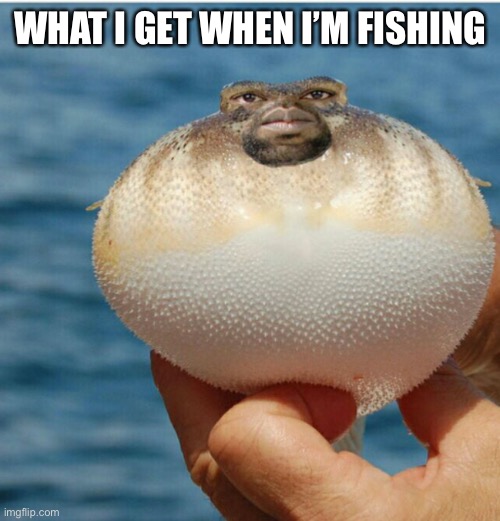 WHAT I GET WHEN I’M FISHING | made w/ Imgflip meme maker