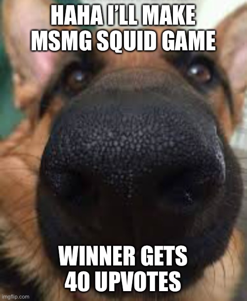 German shepherd but funni | HAHA I’LL MAKE MSMG SQUID GAME; WINNER GETS 40 UPVOTES | image tagged in german shepherd but funni | made w/ Imgflip meme maker