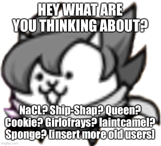 Psychocat | HEY WHAT ARE YOU THINKING ABOUT? NaCL? Ship-Shap? Queen? Cookie? Girlofrays? Iaintcamel? Sponge? [insert more old users] | image tagged in psychocat | made w/ Imgflip meme maker