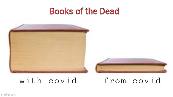 covid essential reading | Books of the Dead; from covid; with covid | image tagged in big book small book,coronavirus,covid-19,statistics | made w/ Imgflip meme maker