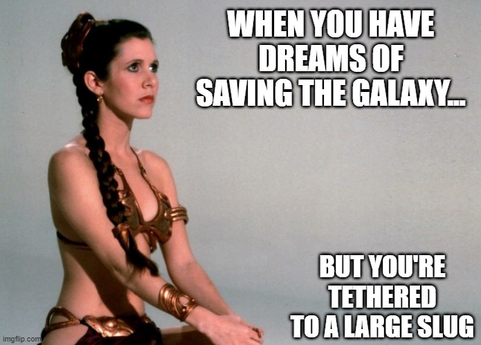 Dreams | WHEN YOU HAVE DREAMS OF SAVING THE GALAXY... BUT YOU'RE TETHERED TO A LARGE SLUG | image tagged in star wars slave leia | made w/ Imgflip meme maker