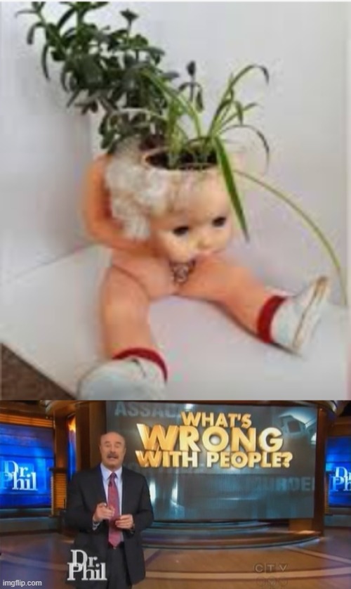 what the fricking hell | image tagged in dr phil what's wrong with people,memes | made w/ Imgflip meme maker
