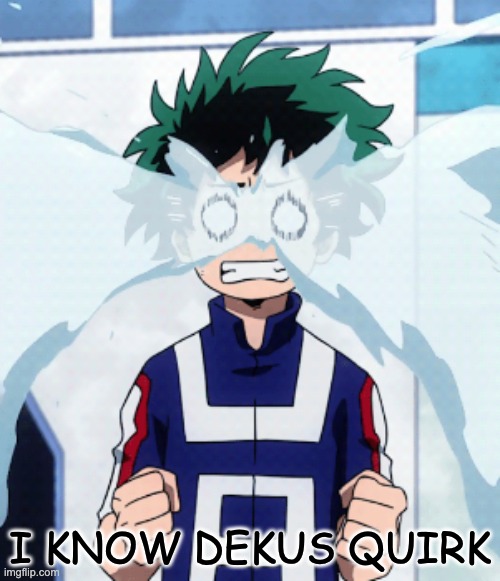 everyone dekus quirk is crying | I KNOW DEKUS QUIRK | image tagged in lol,meme,funny | made w/ Imgflip meme maker