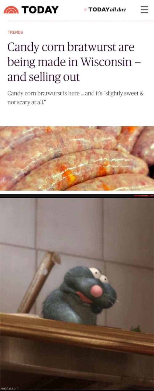 What in the goddam? | image tagged in memes,ratatouille | made w/ Imgflip meme maker