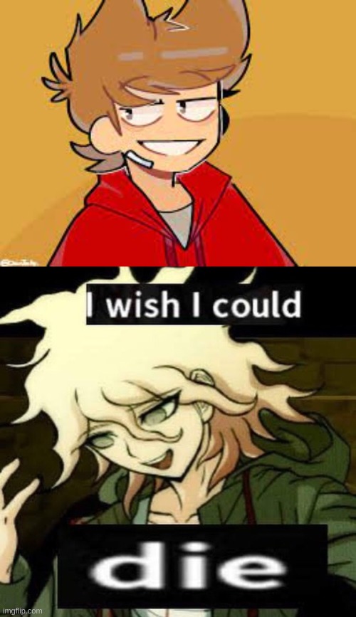 image tagged in i wish i could d i e | made w/ Imgflip meme maker