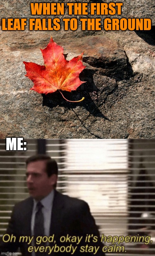 I'M REALLY FOR A LEAF PILE | WHEN THE FIRST LEAF FALLS TO THE GROUND; ME: | image tagged in oh my god okay it's happening everybody stay calm,leaves,fall,october,spooktober | made w/ Imgflip meme maker