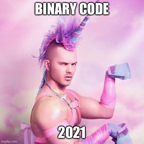 Because Even Math Has Genders. | BINARY CODE; 2021 | image tagged in memes,unicorn man,new normal,non binary,binary | made w/ Imgflip meme maker