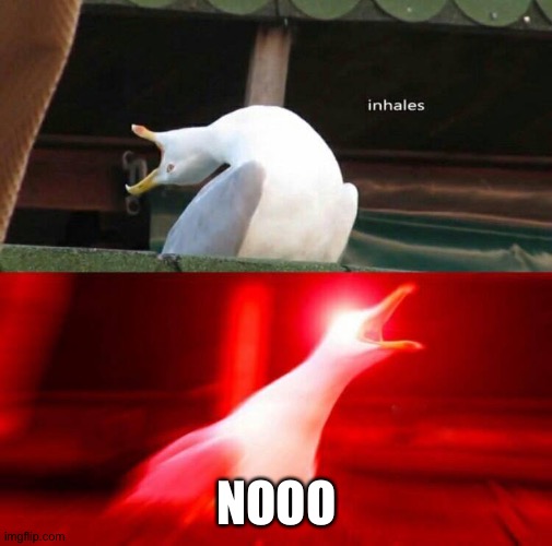 Inhaling Seagull  | NOOO | image tagged in inhaling seagull | made w/ Imgflip meme maker
