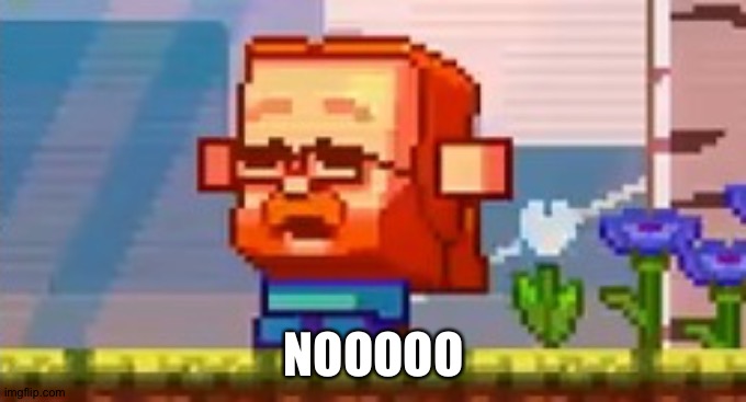 Jeb screaming no | NOOOOO | image tagged in jeb screaming no | made w/ Imgflip meme maker