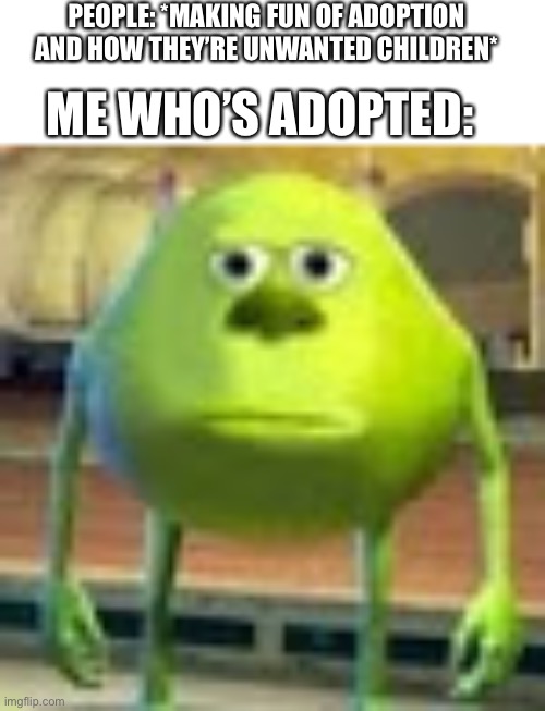 people assume it’s an orphanage, for me it’s a hospital, at birth. -_- | PEOPLE: *MAKING FUN OF ADOPTION AND HOW THEY’RE UNWANTED CHILDREN*; ME WHO’S ADOPTED: | image tagged in sully wazowski | made w/ Imgflip meme maker