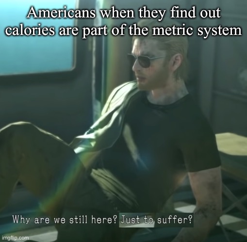 you betrayed me, uncle sam | Americans when they find out calories are part of the metric system | image tagged in why are we here,bruh moment,we've been tricked,america,whoops | made w/ Imgflip meme maker
