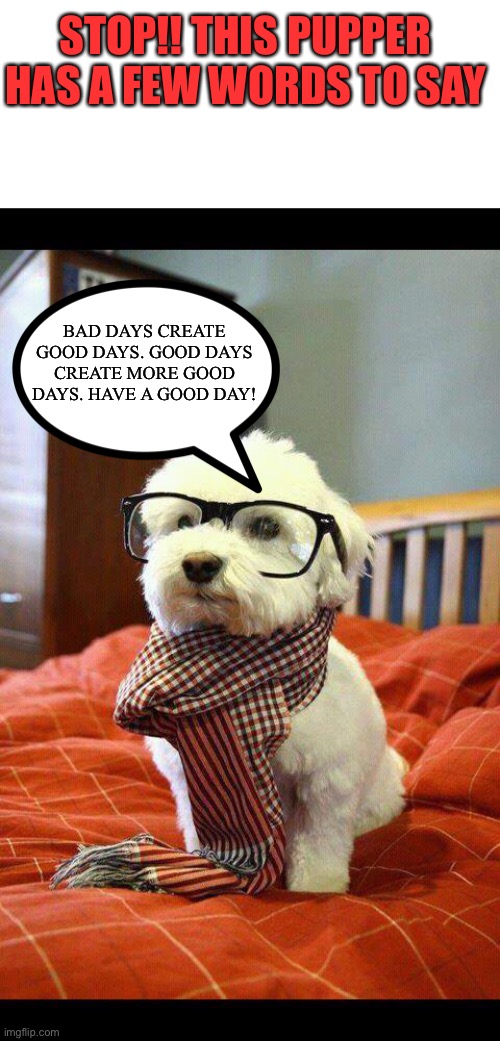 Dogs got words |  STOP!! THIS PUPPER HAS A FEW WORDS TO SAY; BAD DAYS CREATE GOOD DAYS. GOOD DAYS CREATE MORE GOOD DAYS. HAVE A GOOD DAY! | image tagged in memes,intelligent dog,have a nice day | made w/ Imgflip meme maker