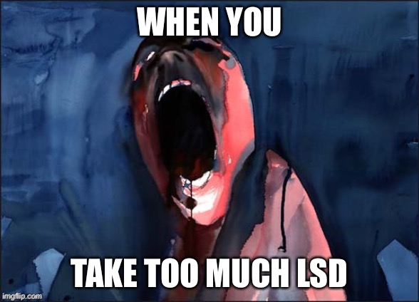 love the movie where the image comes from. It’s a bit cursed though. Thought I’d add a caption. | WHEN YOU; TAKE TOO MUCH LSD | image tagged in pink floyd scream | made w/ Imgflip meme maker