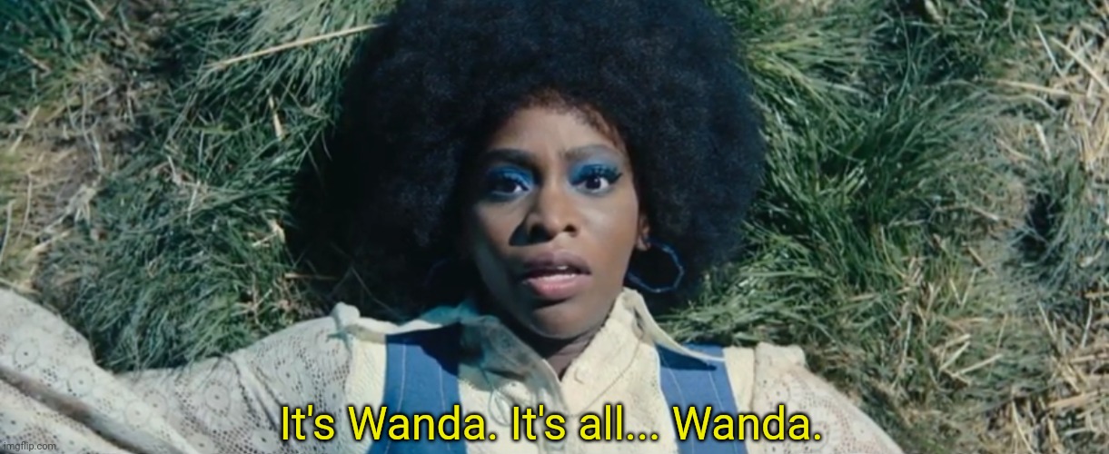 It's all Wanda Blank Meme Template