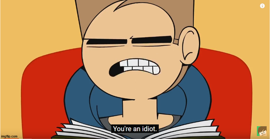 You're an idiot | image tagged in you're an idiot | made w/ Imgflip meme maker