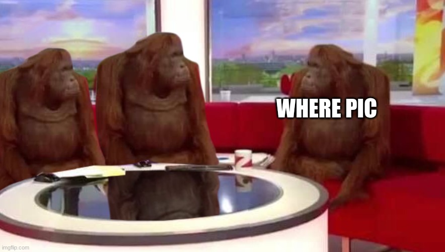 where monkey | WHERE PIC | image tagged in where monkey | made w/ Imgflip meme maker
