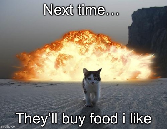 .__. | Next time…; They’ll buy food i like | image tagged in cat explosion,food,meow | made w/ Imgflip meme maker