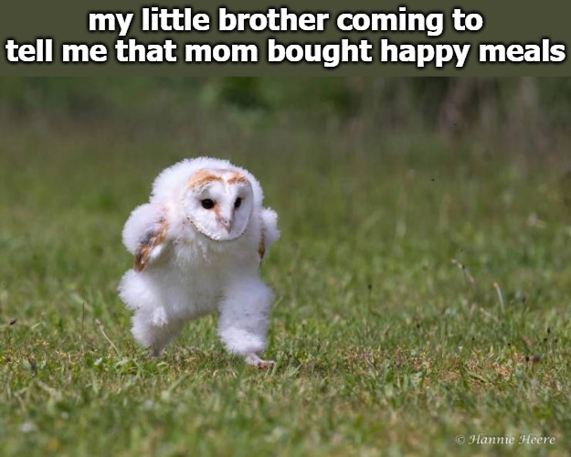 my little brother coming to tell me that mom bought happy meals | image tagged in chicken nuggies | made w/ Imgflip meme maker