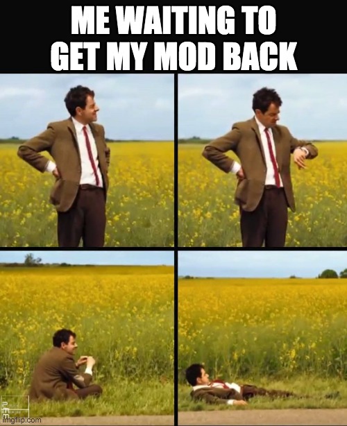 Scar has abused his power by randomly removing my mod and giving it to RMK for no reason. | ME WAITING TO GET MY MOD BACK | image tagged in captain,scar,is,a,tyrant | made w/ Imgflip meme maker