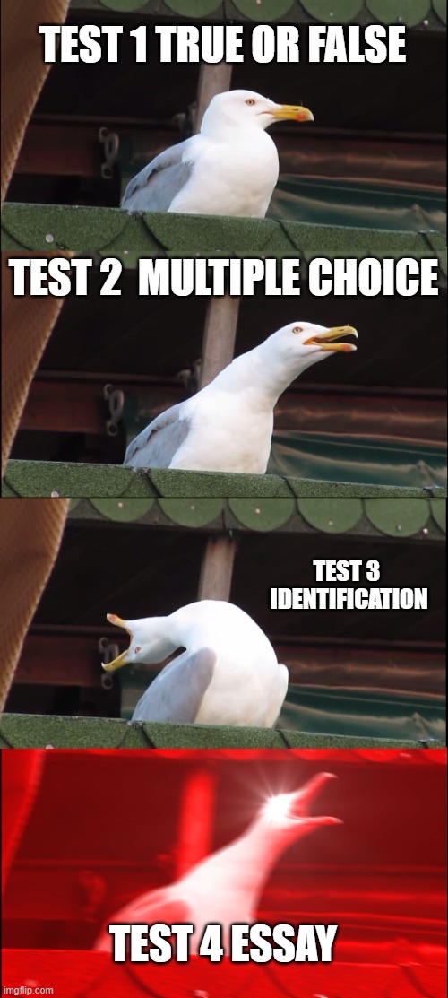 test type | TEST 1 TRUE OR FALSE; TEST 2  MULTIPLE CHOICE; TEST 3  IDENTIFICATION; TEST 4 ESSAY | image tagged in memes,inhaling seagull | made w/ Imgflip meme maker
