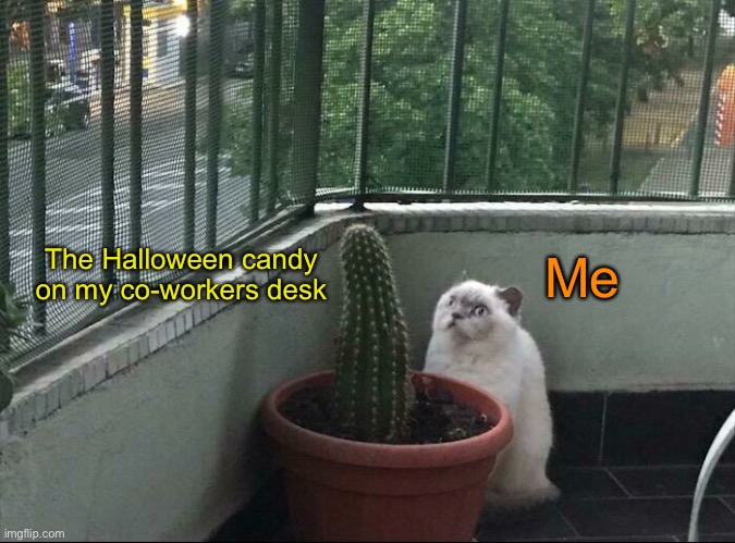 One bite, and I will regret it. | The Halloween candy on my co-workers desk; Me | image tagged in funny memes,funny cat memes,halloween candy | made w/ Imgflip meme maker