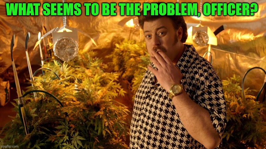 trailer park boys weed | WHAT SEEMS TO BE THE PROBLEM, OFFICER? | image tagged in trailer park boys weed | made w/ Imgflip meme maker