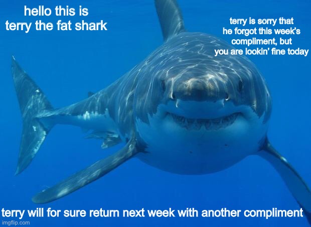 he had a busy day, ok? |  terry is sorry that he forgot this week’s compliment, but you are lookin’ fine today; hello this is terry the fat shark; terry will for sure return next week with another compliment | image tagged in straight white shark,funny,memes,shark,gifs,not really a gif | made w/ Imgflip meme maker