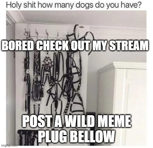 plug post a wild meme | BORED CHECK OUT MY STREAM; POST A WILD MEME
PLUG BELLOW | made w/ Imgflip meme maker