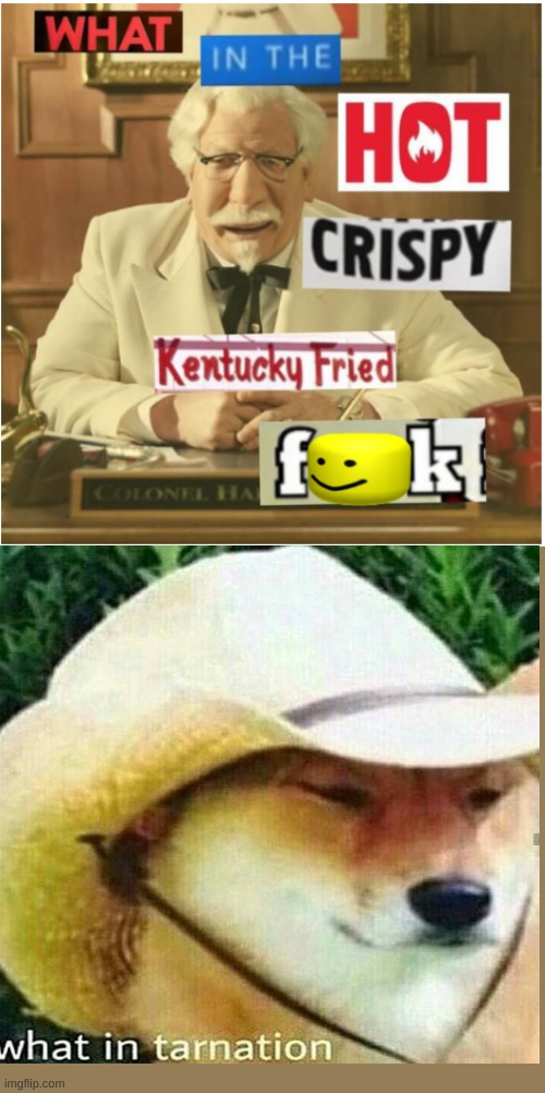 What in the hot crispy kentucky fried frick (censored) | image tagged in what in the hot crispy kentucky fried frick censored | made w/ Imgflip meme maker