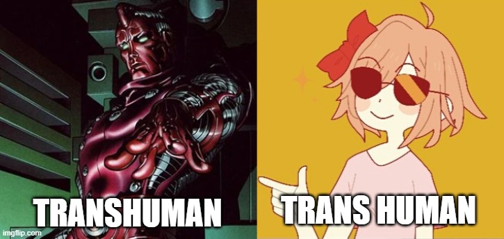 Yes, That SPACE actually changes the whole meaning xD | TRANSHUMAN; TRANS HUMAN | image tagged in trans drake,trans,memes,funny,marvel | made w/ Imgflip meme maker