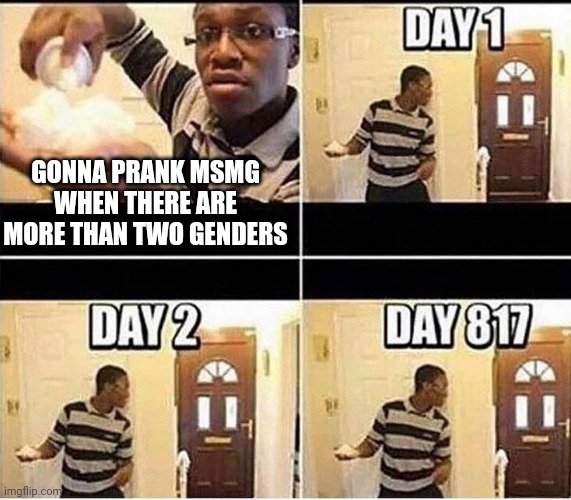 Snowflake trigger warning | GONNA PRANK MSMG WHEN THERE ARE MORE THAN TWO GENDERS | image tagged in gonna prank dad | made w/ Imgflip meme maker