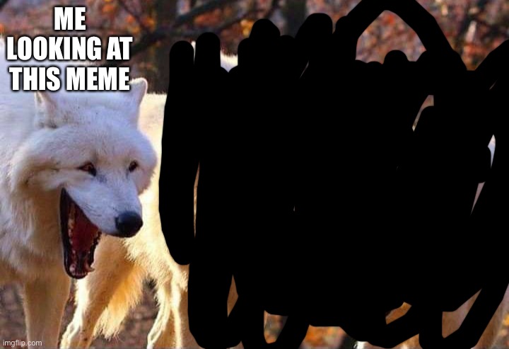Laughing wolf | ME LOOKING AT THIS MEME | image tagged in laughing wolf | made w/ Imgflip meme maker