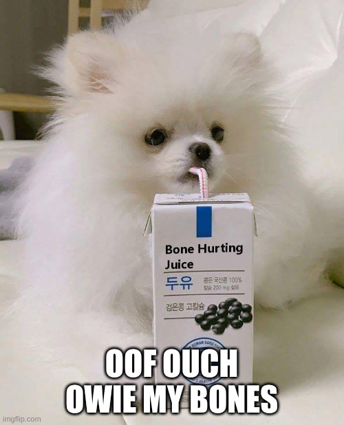 Bone hurting juice | OOF OUCH OWIE MY BONES | image tagged in bone hurting juice | made w/ Imgflip meme maker