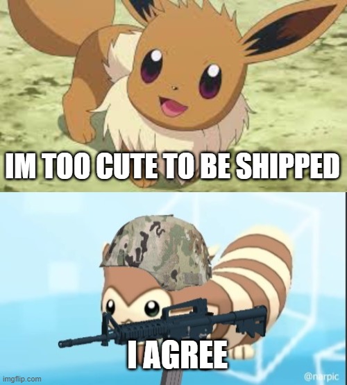 I AGREE IM TOO CUTE TO BE SHIPPED | image tagged in eevee,furret army | made w/ Imgflip meme maker