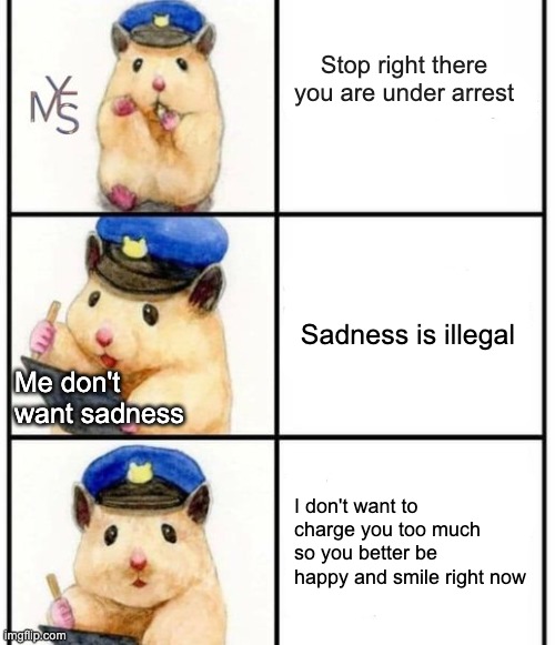 stolen |  Stop right there
you are under arrest; Sadness is illegal; Me don't want sadness ; I don't want to charge you too much so you better be happy and smile right now | image tagged in wholesome | made w/ Imgflip meme maker