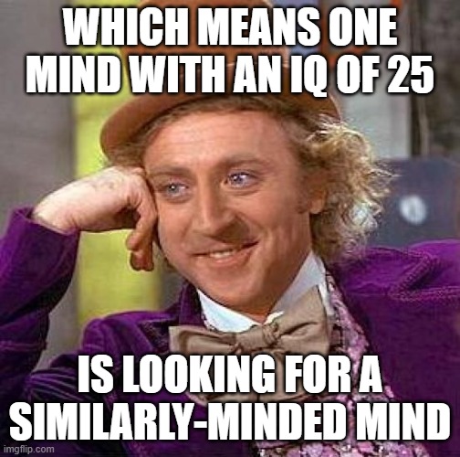 Creepy Condescending Wonka Meme | WHICH MEANS ONE MIND WITH AN IQ OF 25 IS LOOKING FOR A SIMILARLY-MINDED MIND | image tagged in memes,creepy condescending wonka | made w/ Imgflip meme maker