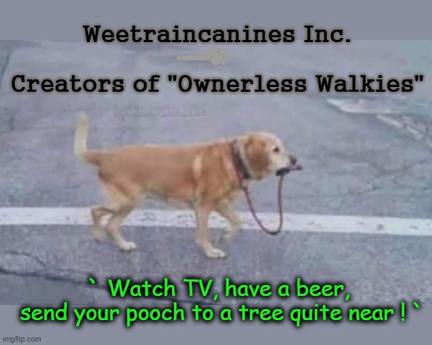 Ownerless Walkies | Weetraincanines Inc.
*
Creators of "Ownerless Walkies"; ` Watch TV, have a beer,
 send your pooch to a tree quite near ! ` | image tagged in intelligent dog | made w/ Imgflip meme maker