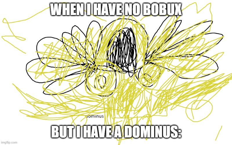 roblox | WHEN I HAVE NO BOBUX; BUT I HAVE A DOMINUS: | image tagged in bobux | made w/ Imgflip meme maker