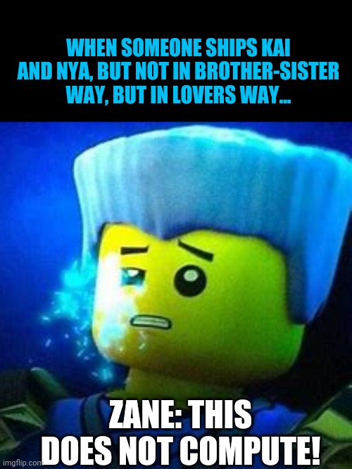 Has someone actually ever done this? | WHEN SOMEONE SHIPS KAI AND NYA, BUT NOT IN BROTHER-SISTER WAY, BUT IN LOVERS WAY... ZANE: THIS DOES NOT COMPUTE! | image tagged in this does not compute,incest,kai,nya,ninjago,shipping | made w/ Imgflip meme maker
