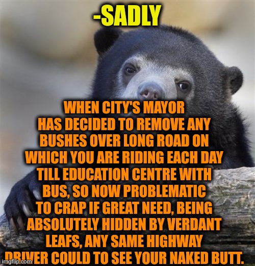 -Where to put shit undercover? | WHEN CITY'S MAYOR HAS DECIDED TO REMOVE ANY BUSHES OVER LONG ROAD ON WHICH YOU ARE RIDING EACH DAY TILL EDUCATION CENTRE WITH BUS, SO NOW PROBLEMATIC TO CRAP IF GREAT NEED, BEING ABSOLUTELY HIDDEN BY VERDANT LEAFS, ANY SAME HIGHWAY DRIVER COULD TO SEE YOUR NAKED BUTT. -SADLY | image tagged in memes,confession bear,bored of this crap,homer bush,mayor mccheese,bus | made w/ Imgflip meme maker
