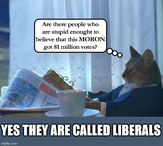 81M, sure he did | YES THEY ARE CALLED LIBERALS | image tagged in stupid liberals,biden | made w/ Imgflip meme maker