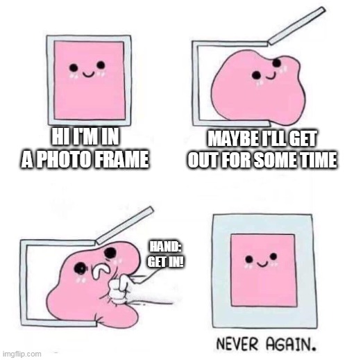 Never again | HI I'M IN A PHOTO FRAME; MAYBE I'LL GET OUT FOR SOME TIME; HAND: GET IN! | image tagged in never again | made w/ Imgflip meme maker