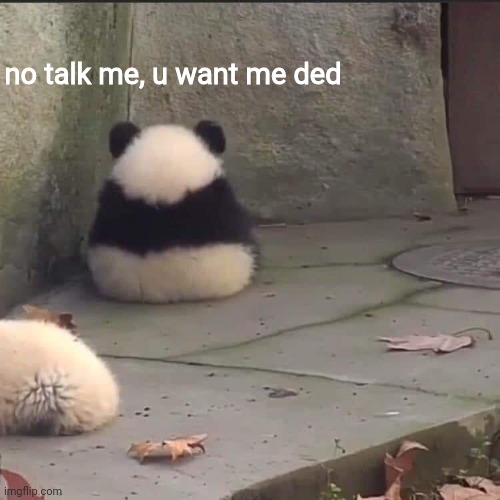 no talk me im angy | no talk me, u want me ded | image tagged in no talk me im angy | made w/ Imgflip meme maker